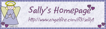 sallybanner.gif (11899 bytes)