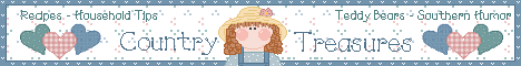 lisabannercam.gif (6481 bytes)