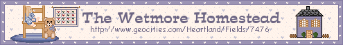 wetmoresbann1.gif (9468 bytes)